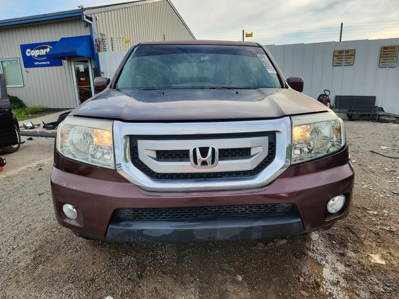 2010 Honda Pilot Exl Бордовый vin: 5FNYF4H54AB001261