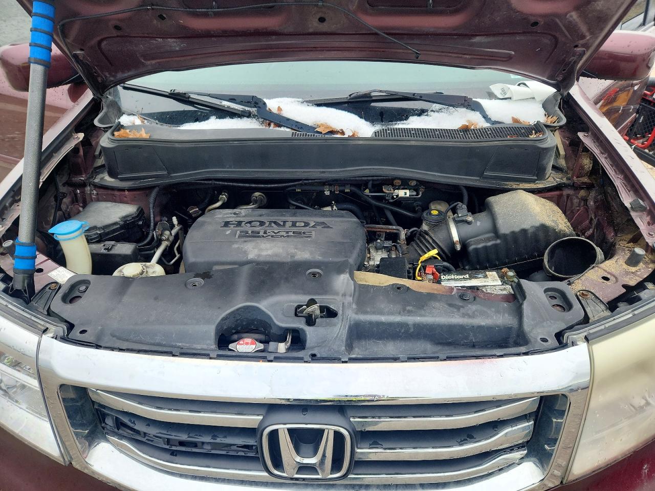 2013 Honda Pilot Exl Burgundy vin: 5FNYF4H54DB072819