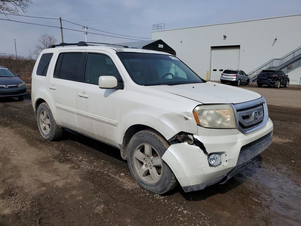 2011 Honda Pilot Exl Белый vin: 5FNYF4H58BB505670