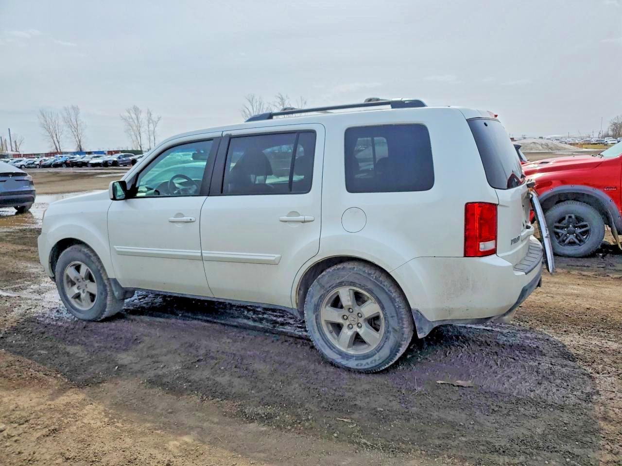 2011 Honda Pilot Exl Белый vin: 5FNYF4H58BB505670