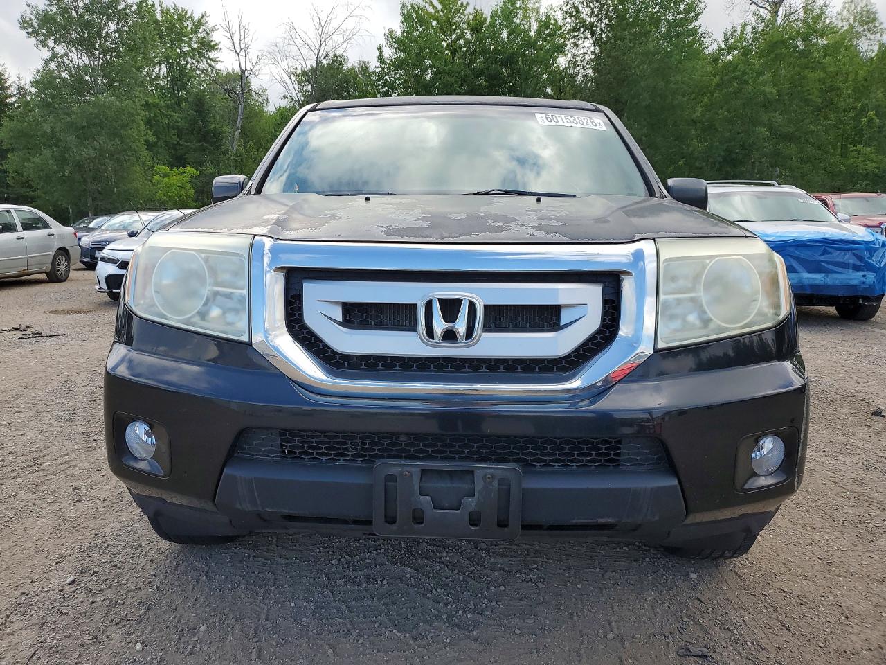 2010 Honda Pilot Exl Black vin: 5FNYF4H59AB502498