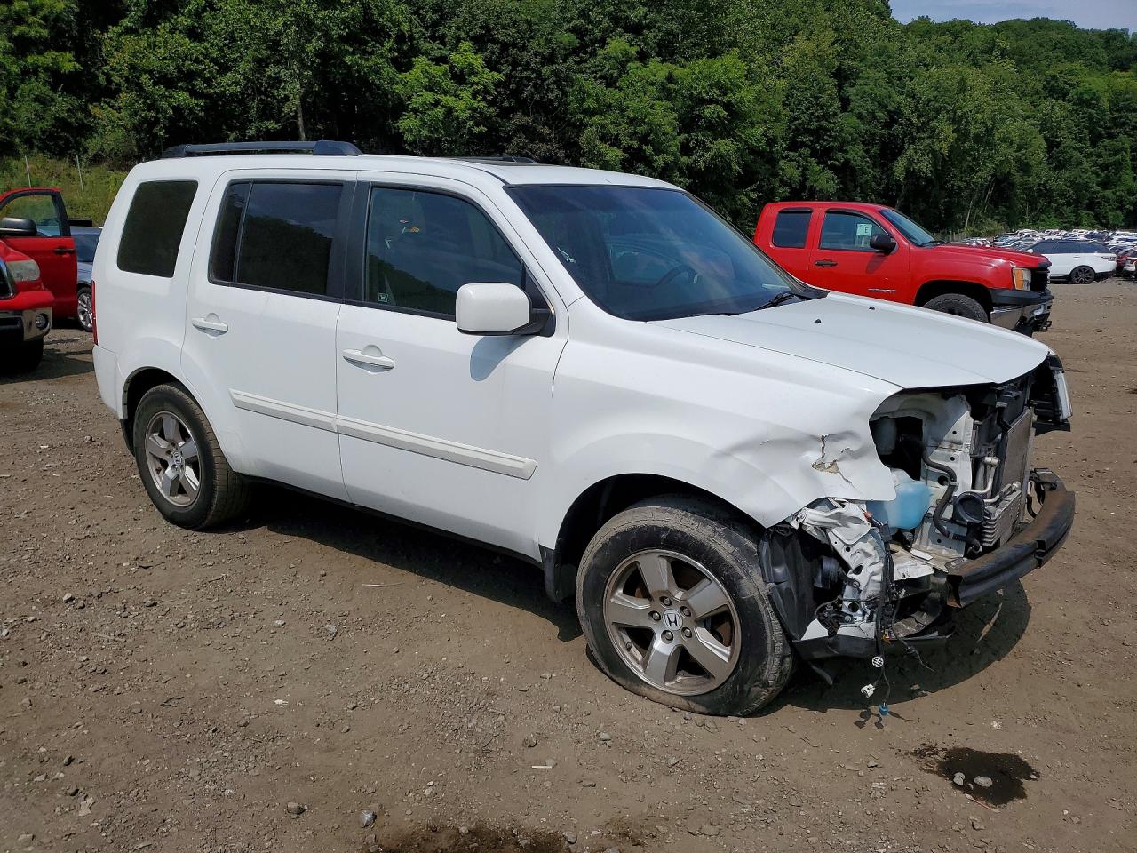 2011 Honda Pilot Exl White vin: 5FNYF4H5XBB085426