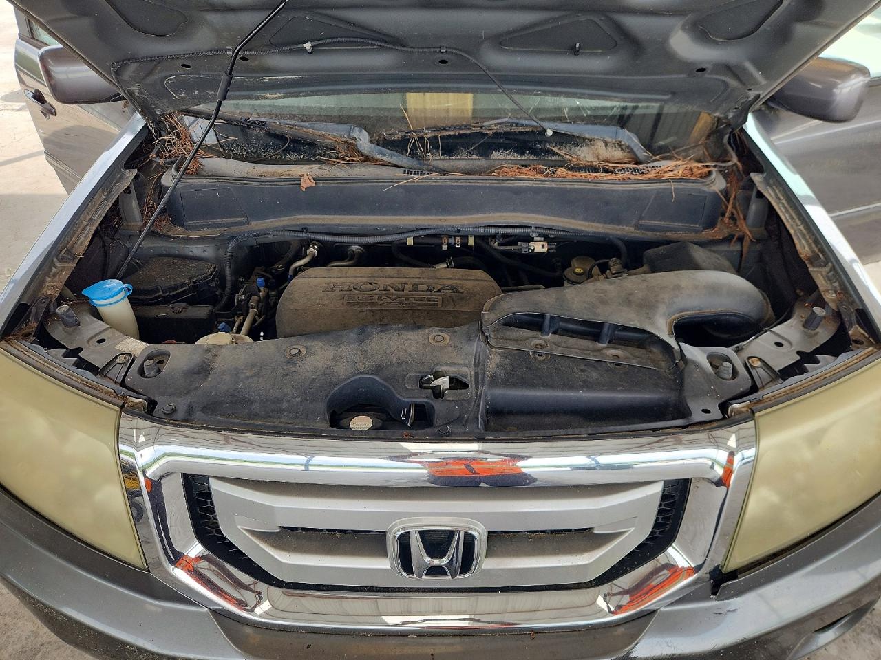 2011 Honda Pilot Exln Gray vin: 5FNYF4H71BB059699