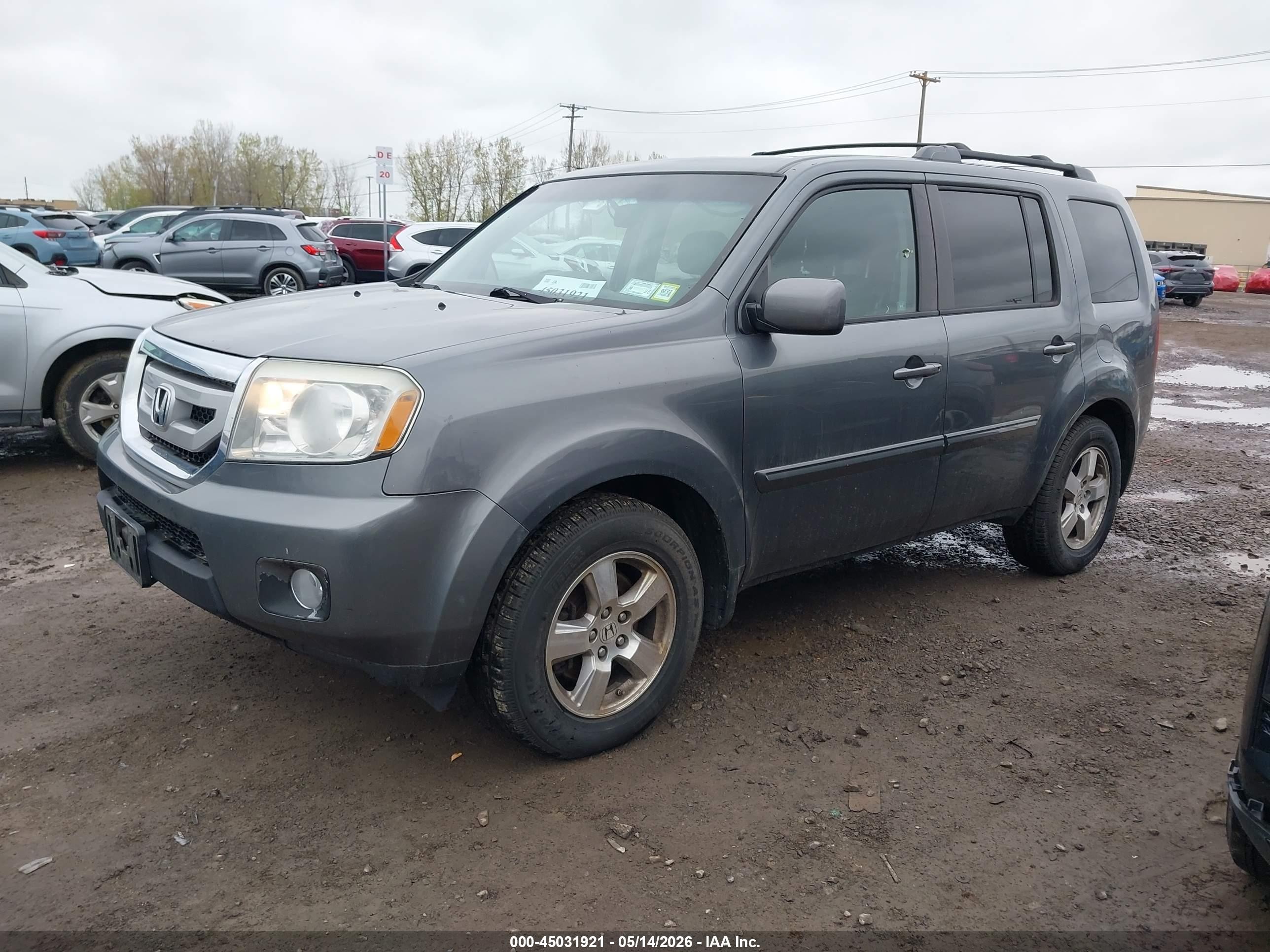 2011 Honda Pilot Ex-l Gray vin: 5FNYF4H71BB102891