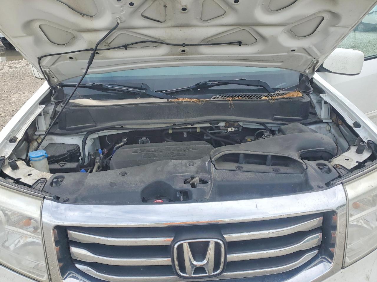 2015 Honda Pilot Exln White vin: 5FNYF4H72FB068921