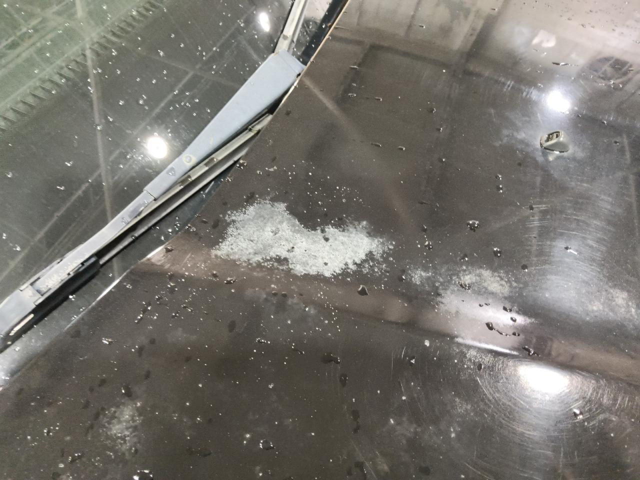 2010 Honda Pilot Touring Black vin: 5FNYF4H91AB502272 Damage: Hood, Oxidized, > 12 Inches