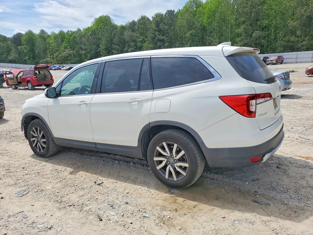 2019 Honda Pilot Exl White vin: 5FNYF5H53KB012002