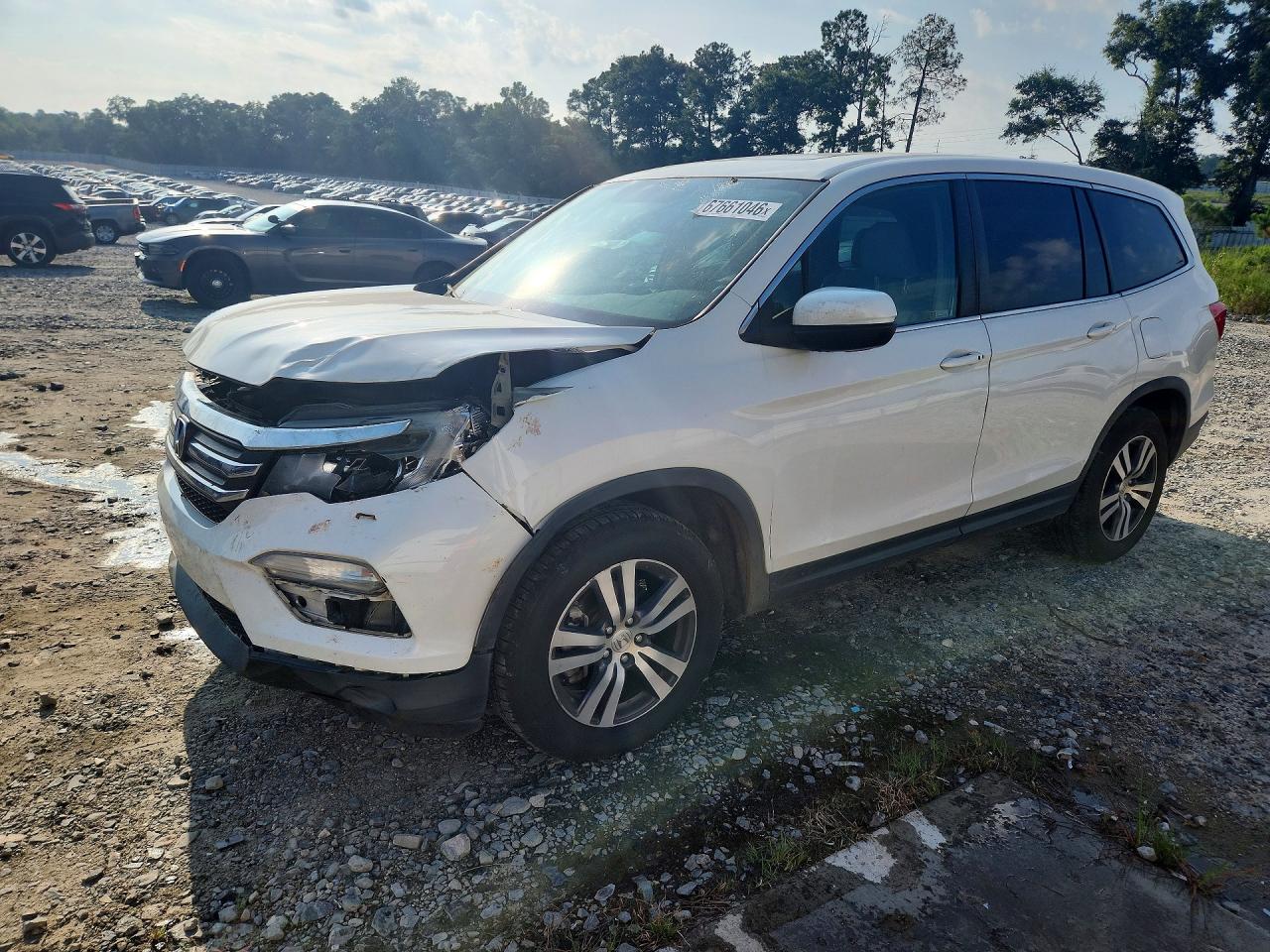 2018 Honda Pilot Exl White vin: 5FNYF5H55JB008502