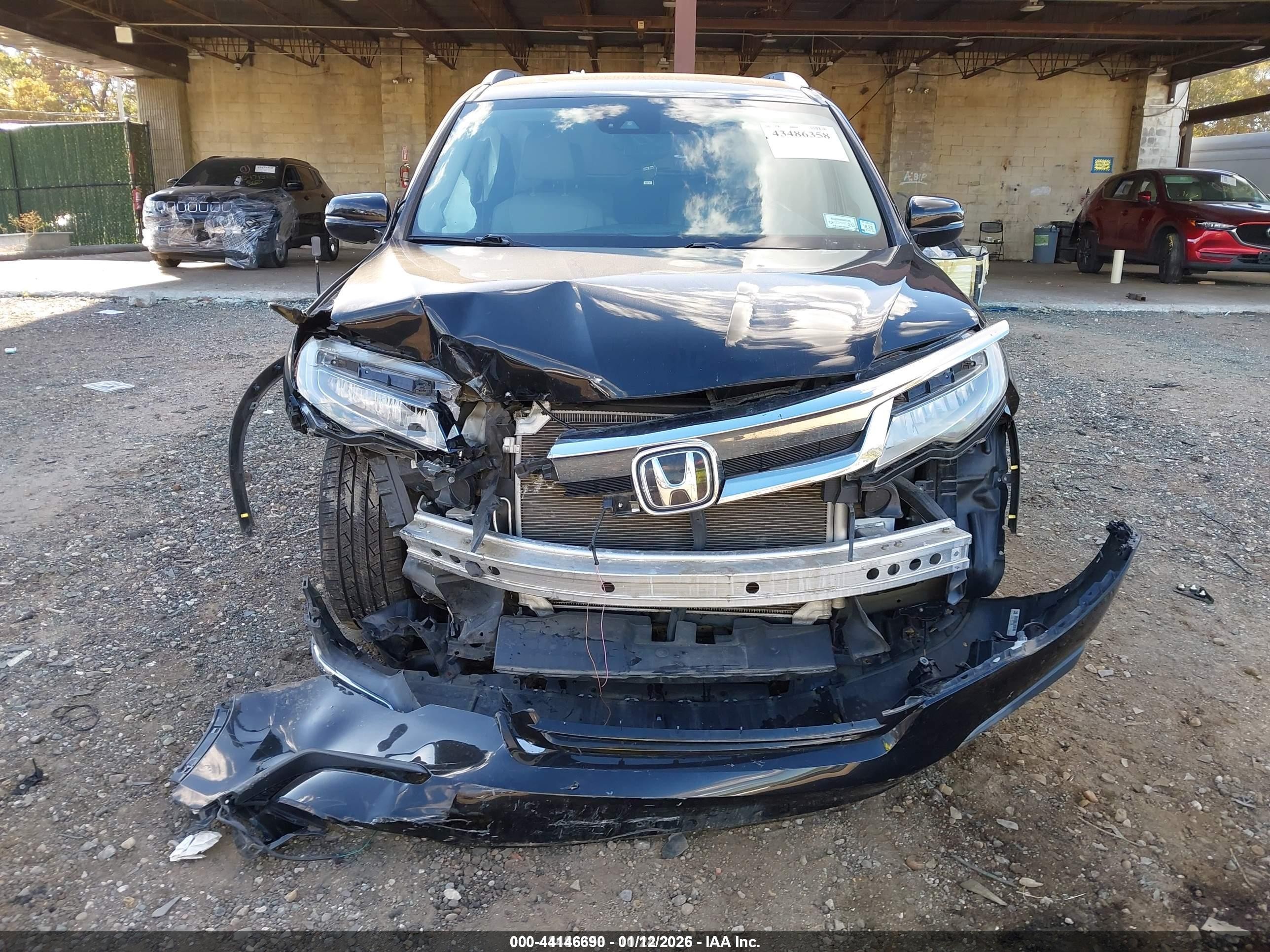 2019 Honda Pilot Elite Black vin: 5FNYF6H02KB023924