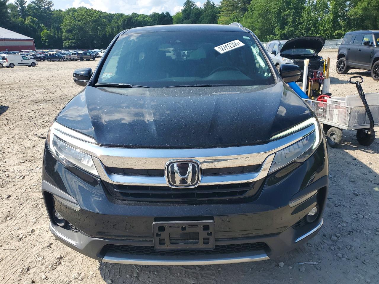 2019 Honda Pilot Elite Black vin: 5FNYF6H09KB015898