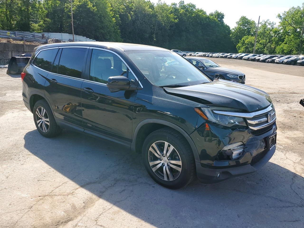 2018 Honda Pilot Exl Green vin: 5FNYF6H51JB036965