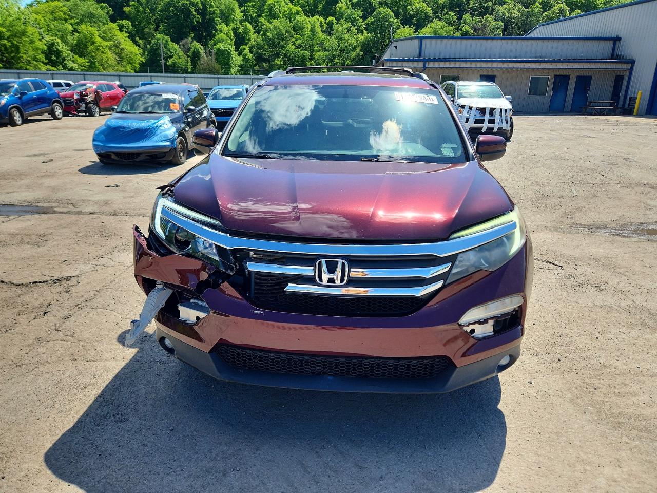 2016 Honda Pilot Exl Бордовый vin: 5FNYF6H54GB094903