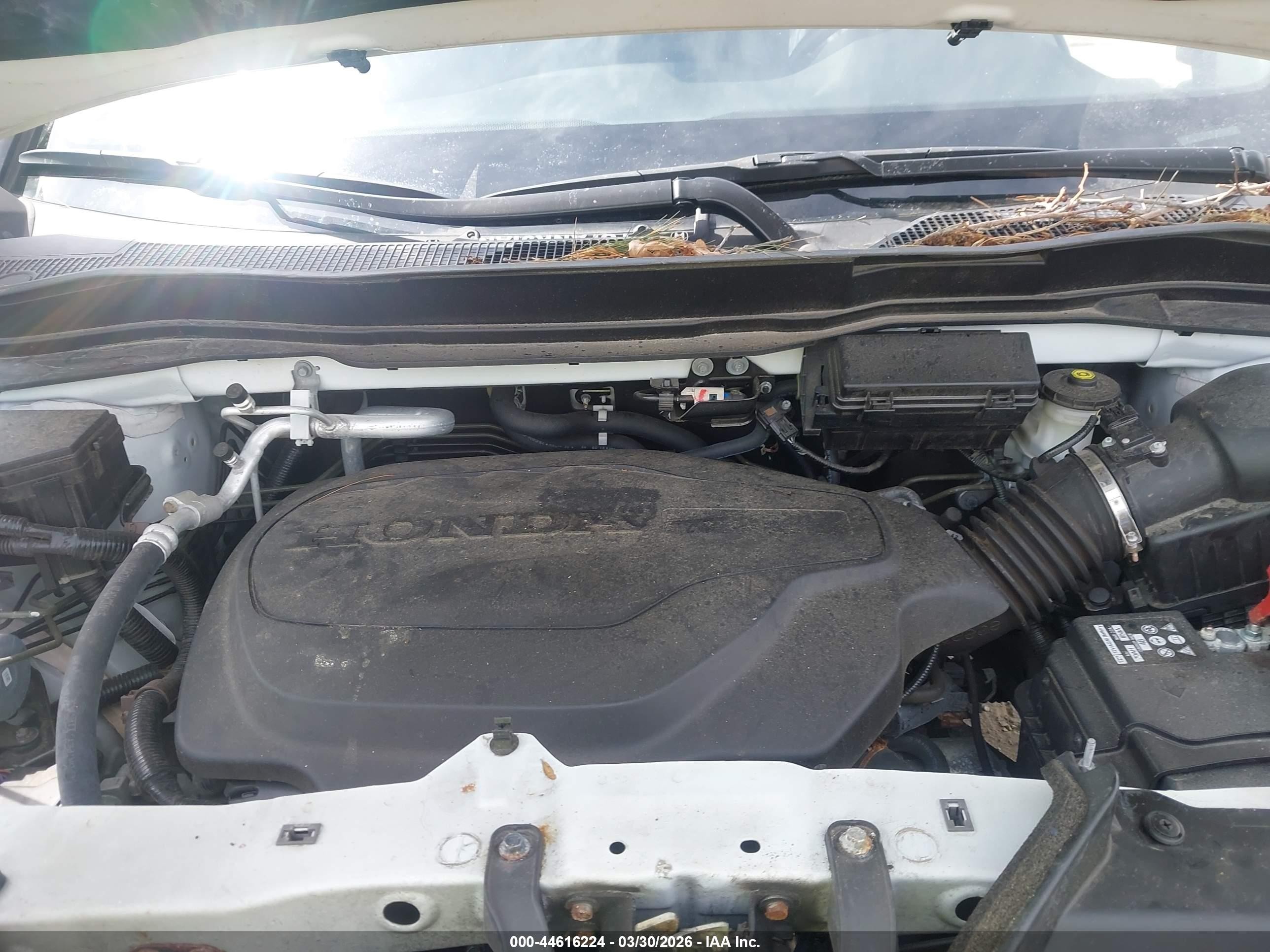 2021 Honda Passport Awd Ex-l Белый vin: 5FNYF8H51MB038263