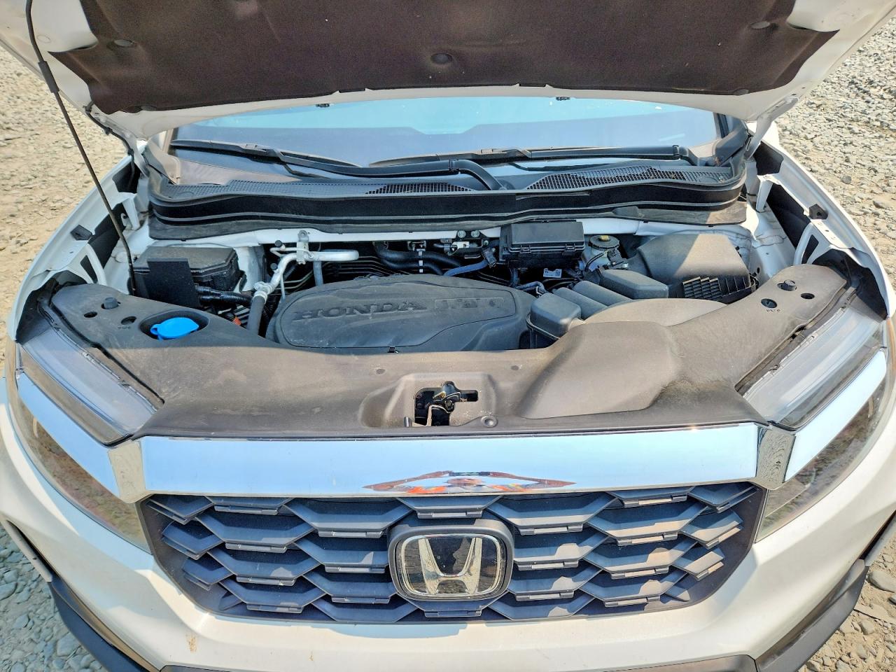 2023 Honda Passport Exl White vin: 5FNYF8H58PB038295
