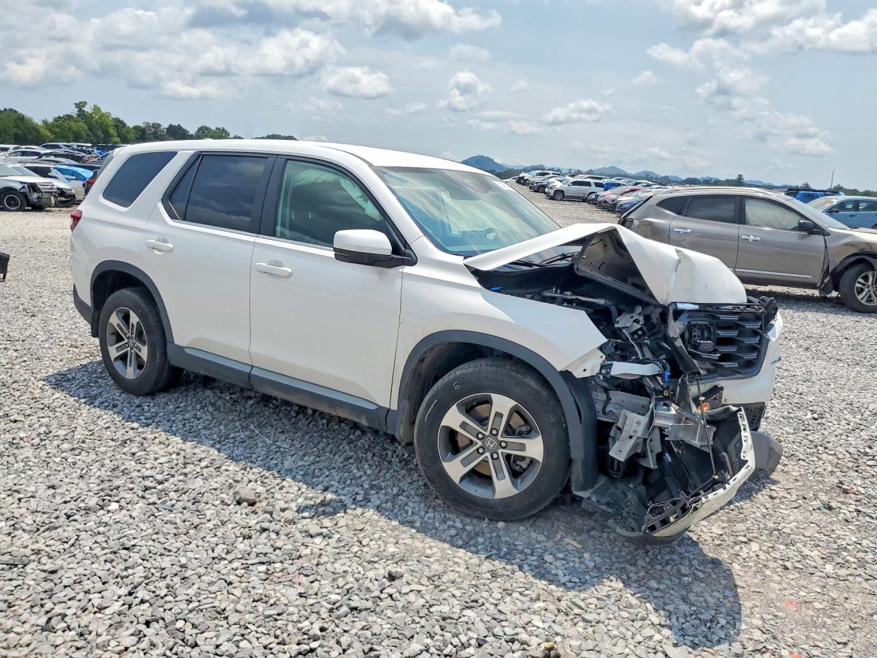 2024 Honda Pilot Exl White vin: 5FNYG1H48RB033449
