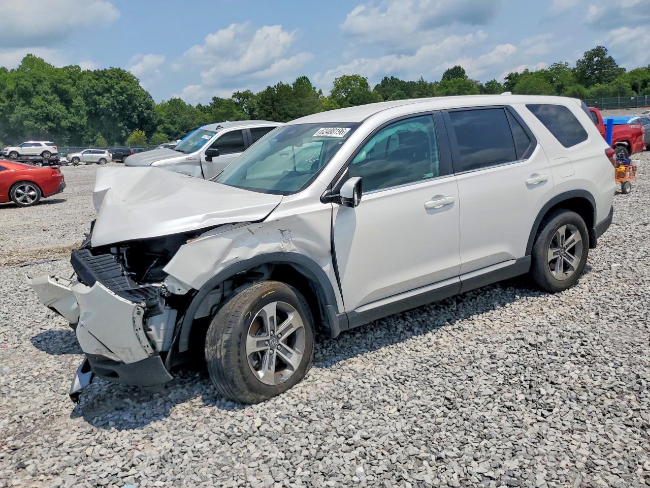 2024 Honda Pilot Exl White vin: 5FNYG1H48RB033449