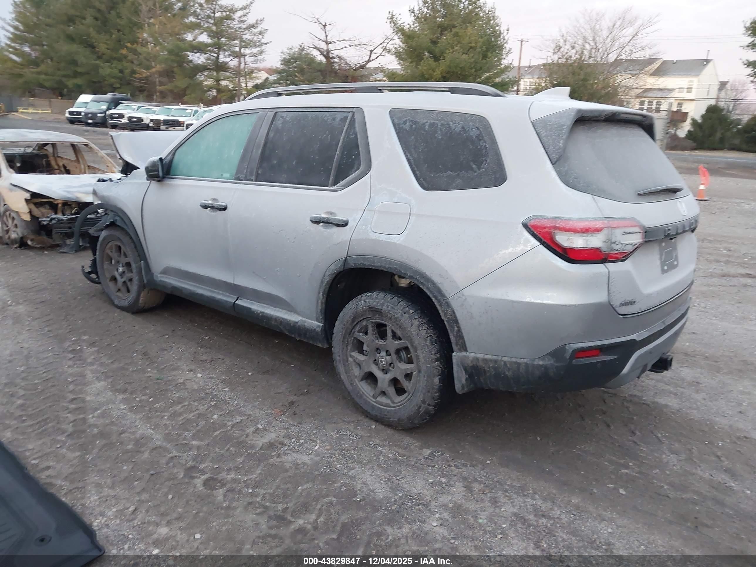 2025 Honda Pilot Trailsport Gray vin: 5FNYG1H64SB155569