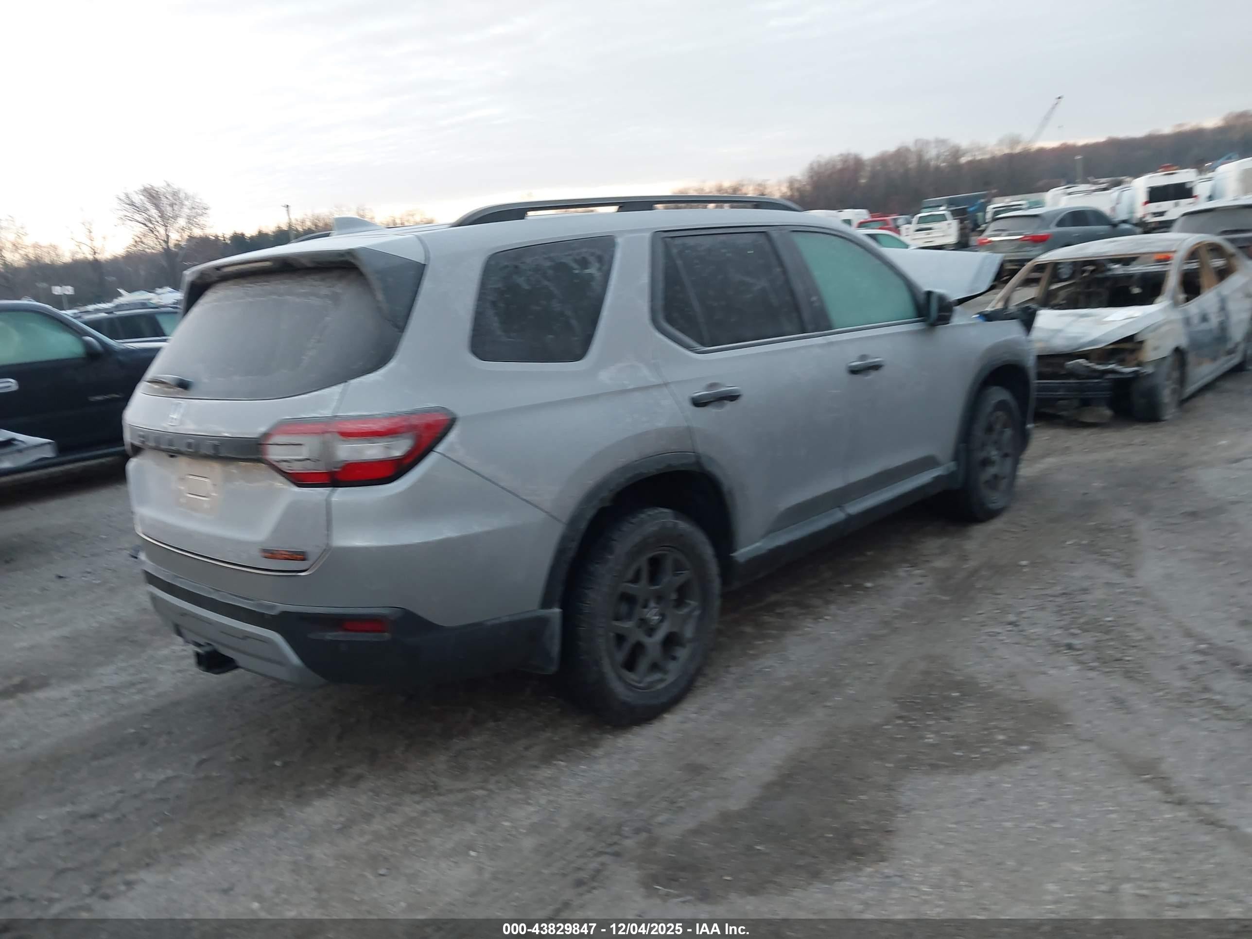 2025 Honda Pilot Trailsport Gray vin: 5FNYG1H64SB155569