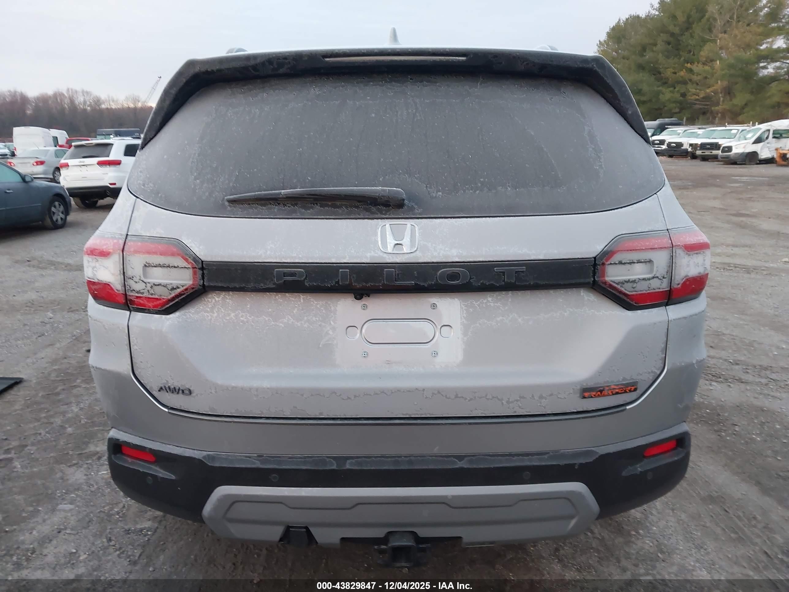 2025 Honda Pilot Trailsport Gray vin: 5FNYG1H64SB155569