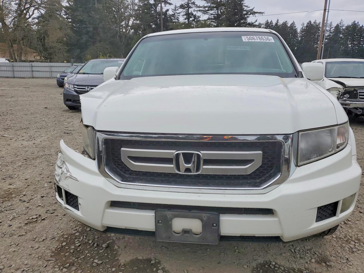 2009 Honda Ridgeline Rts Белый vin: 5FPYK16429B101690