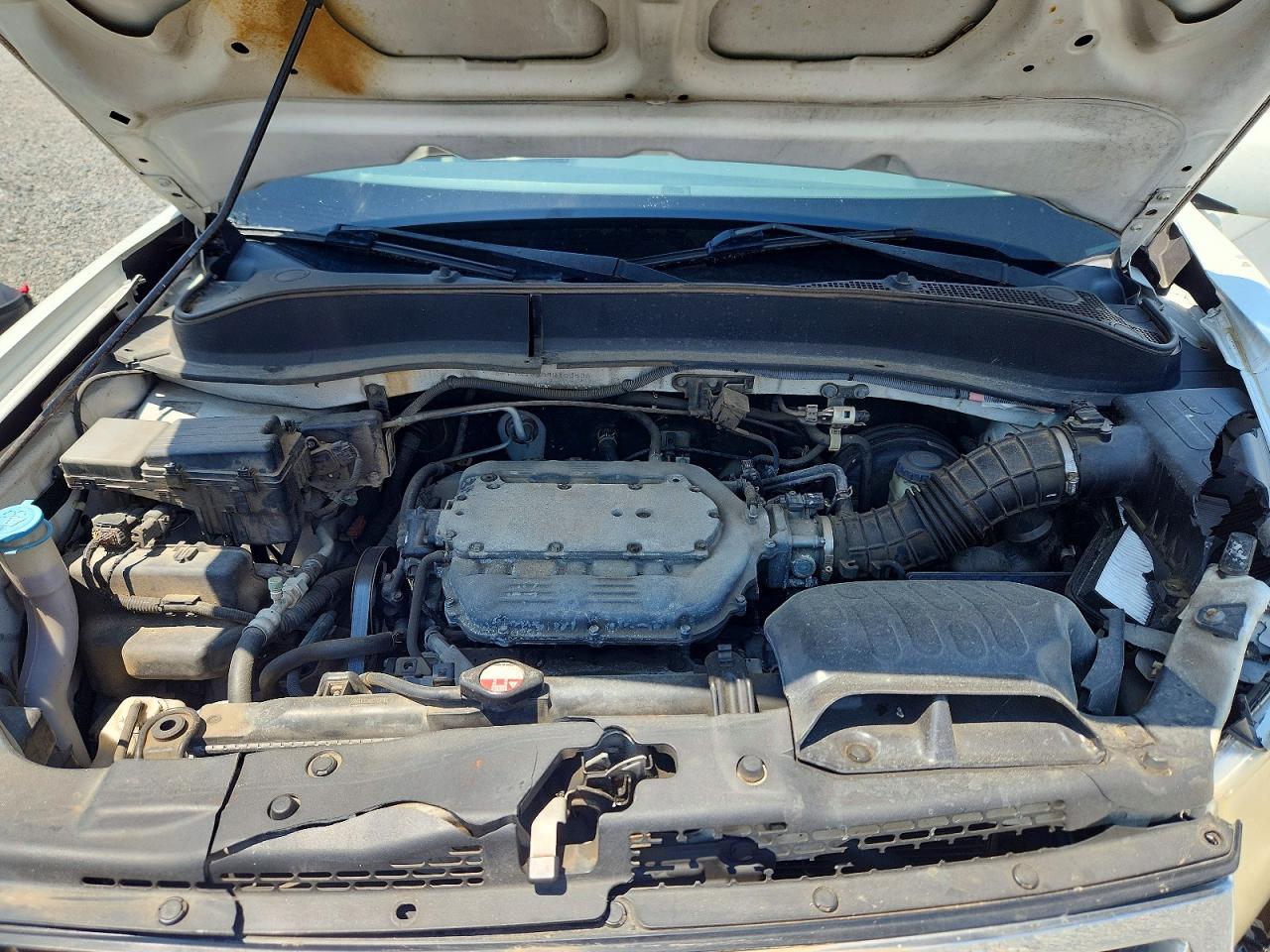 2009 Honda Ridgeline Rtl Белый vin: 5FPYK16509B100935