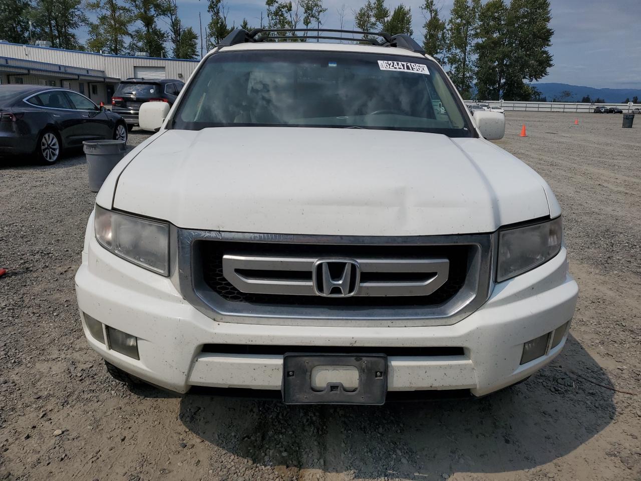 2009 Honda Ridgeline Rtl White vin: 5FPYK16509B105827 Damage: Left Head Lamp, Faded, Repair Required