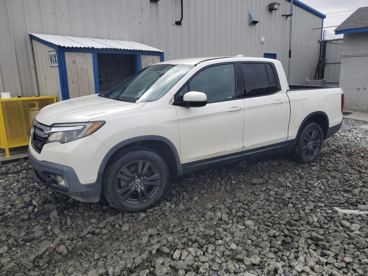 2019 Honda Ridgeline Sport White vin: 5FPYK3F12KB030644 Damage: Left Front Door, Dent(S) W/ Paint Dmg, > 12 Inches