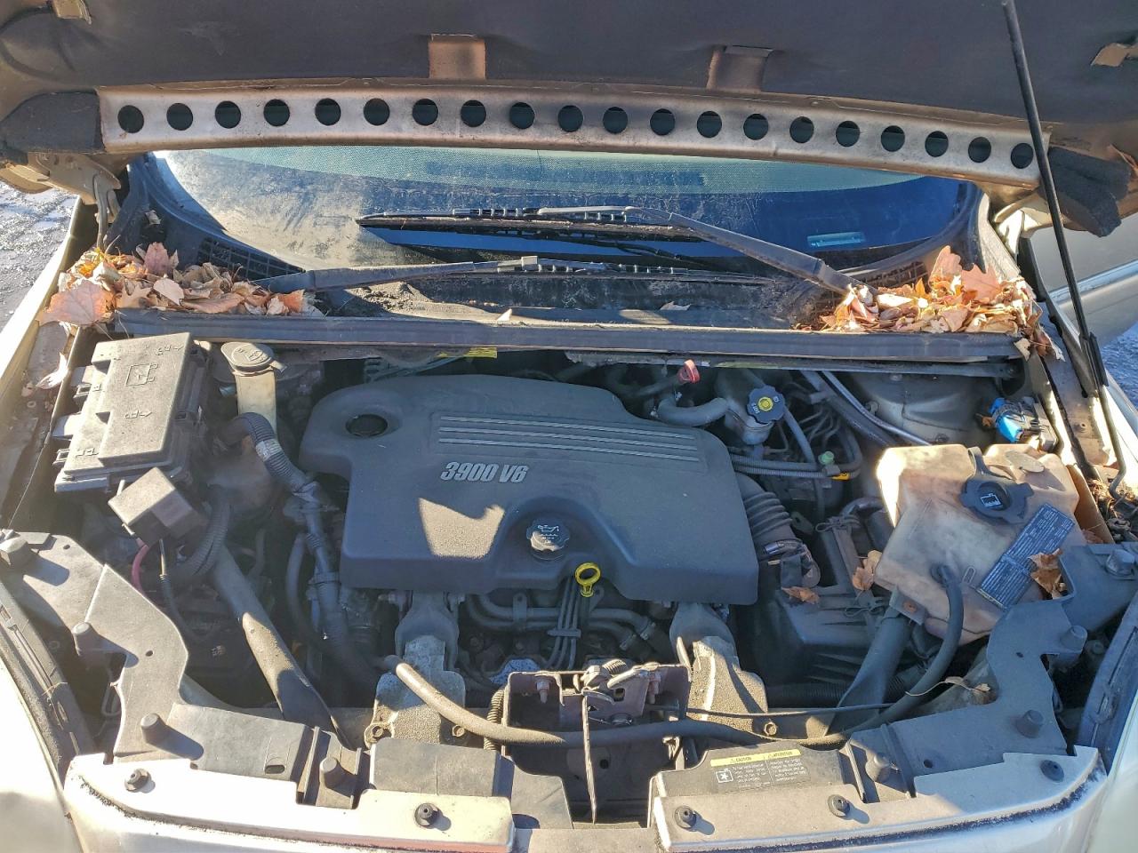 2006 Buick Terraza Cxl Золотой vin: 5GADV33146D171569