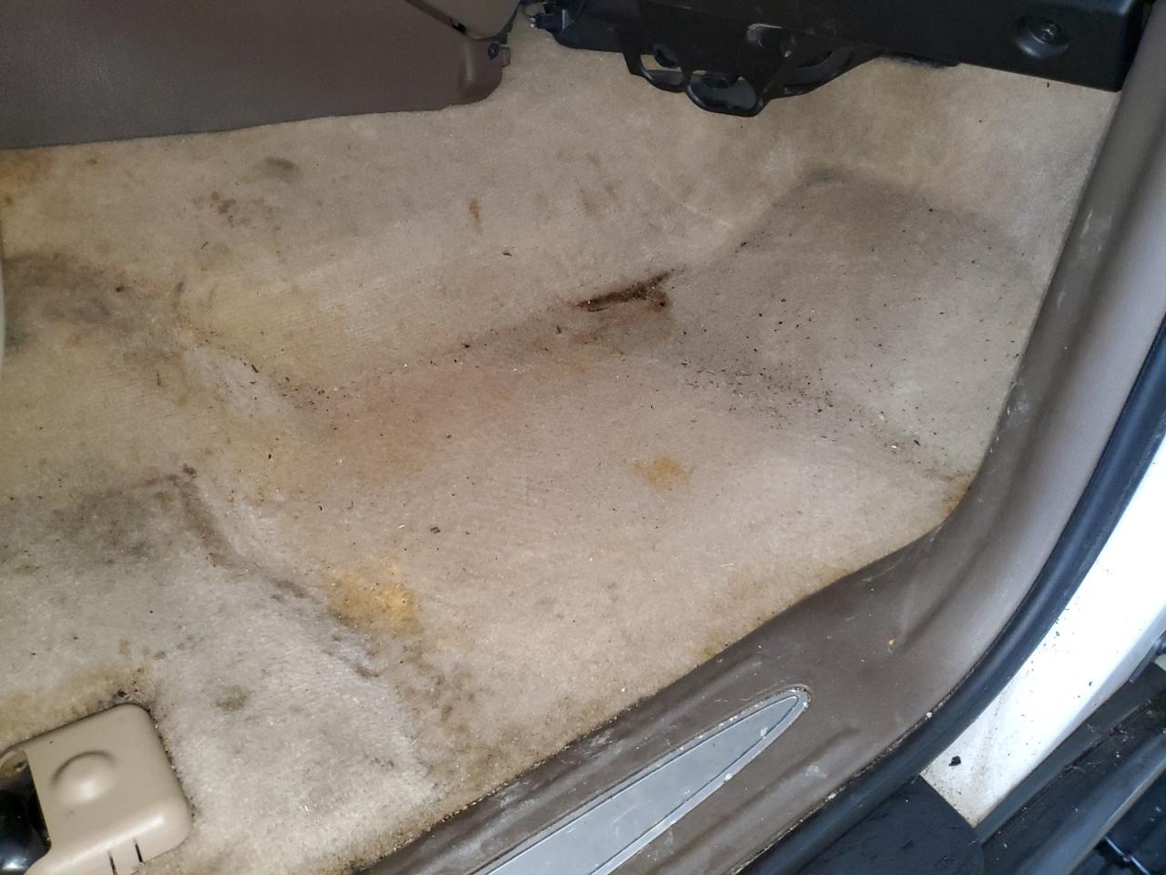 2006 Buick Rainier Cxl Белый vin: 5GAET13M862219210 Damage: Right Front Carpet, Stained, Permanent