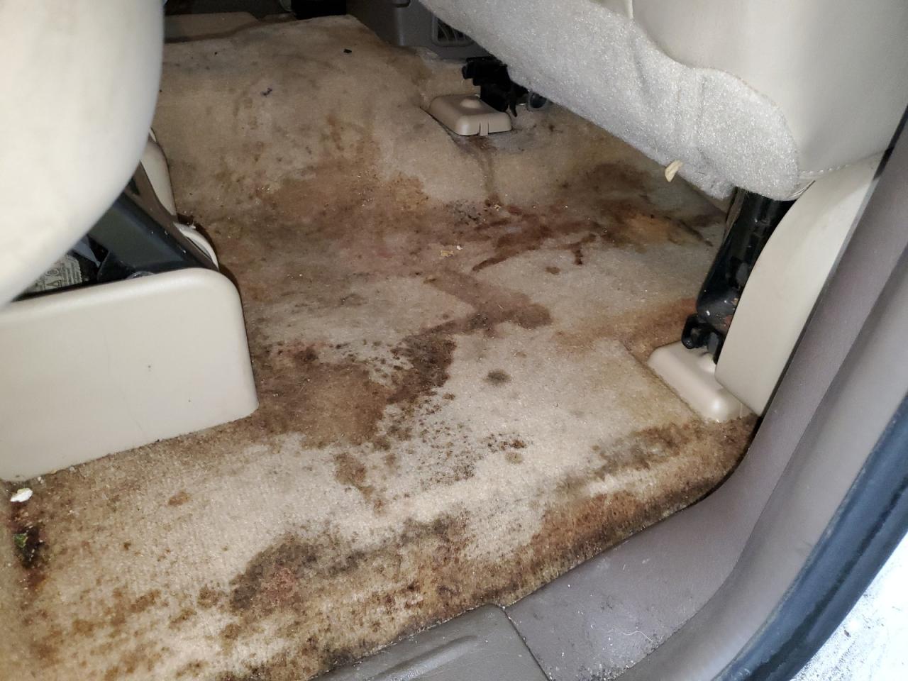 2006 Buick Rainier Cxl Белый vin: 5GAET13M862219210 Damage: Right Rear Carpet, Stained, Permanent