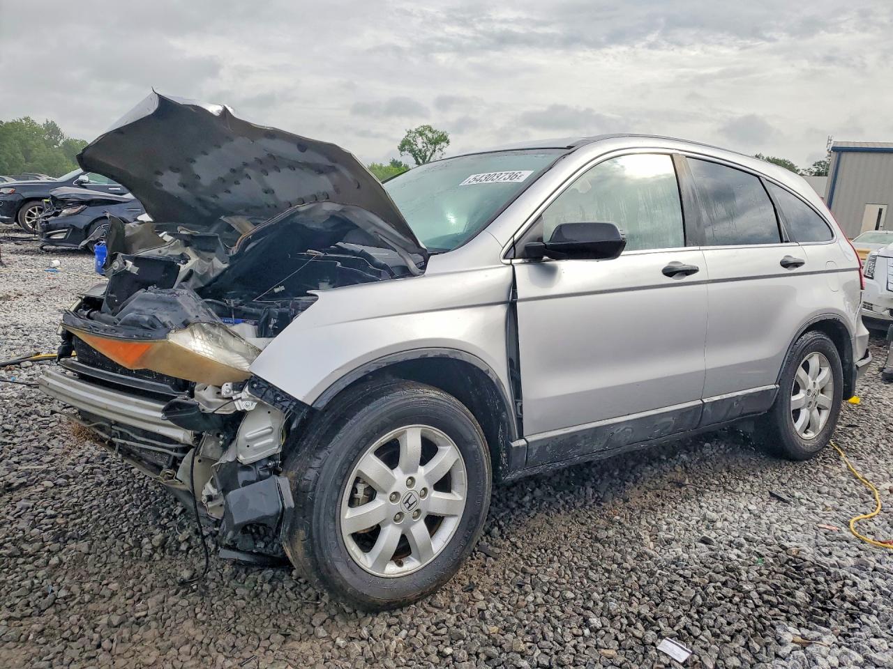 2009 Honda Cr-v Ex Silver vin: 5J6RE38539L003796