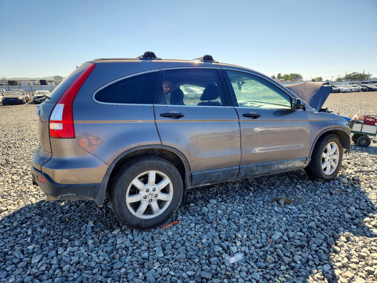 2009 Honda Cr-v Ex Gray vin: 5J6RE38559L007414