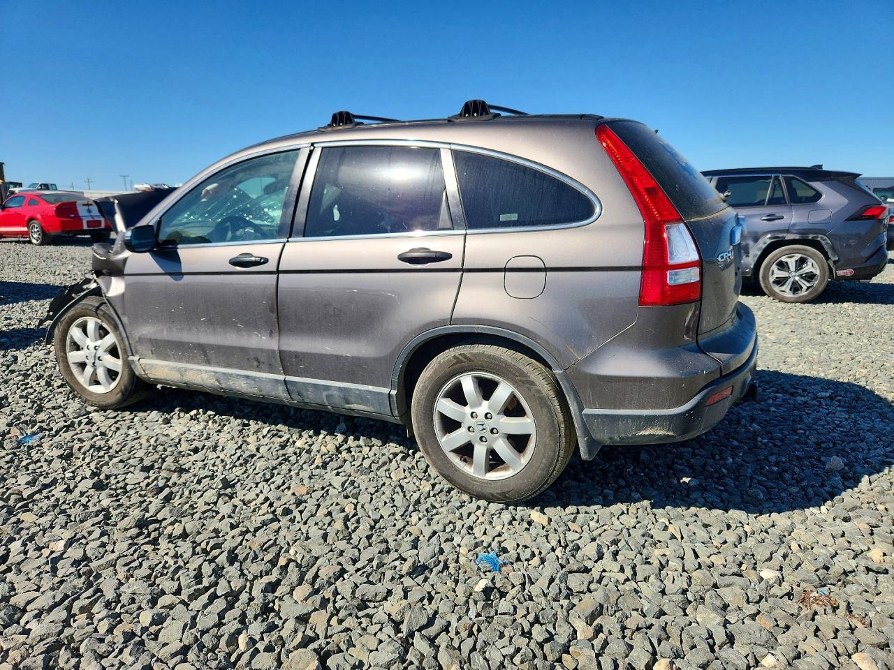 2009 Honda Cr-v Ex Gray vin: 5J6RE38559L007414
