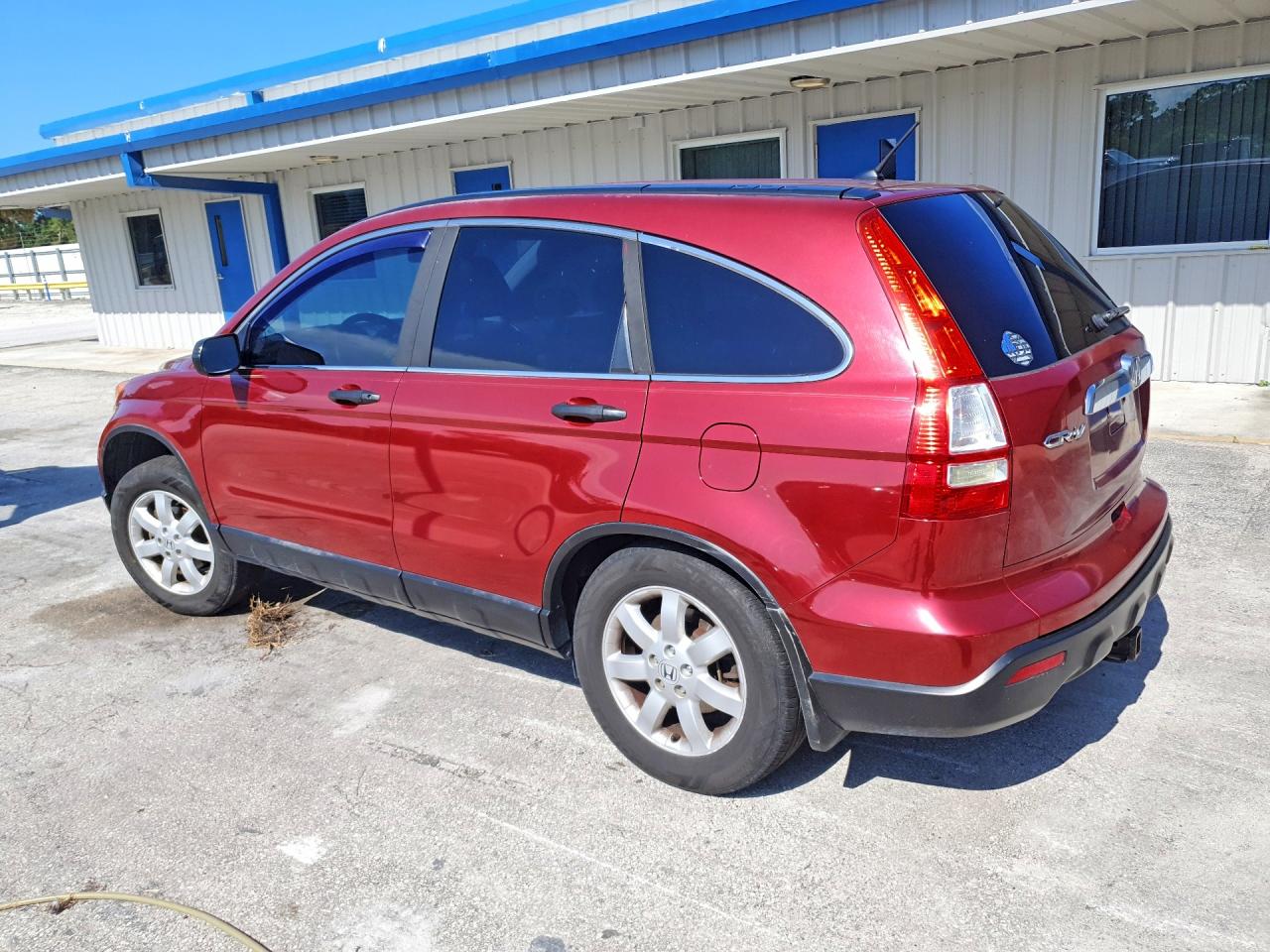 2009 Honda Cr-v Ex Red vin: 5J6RE38569L002075