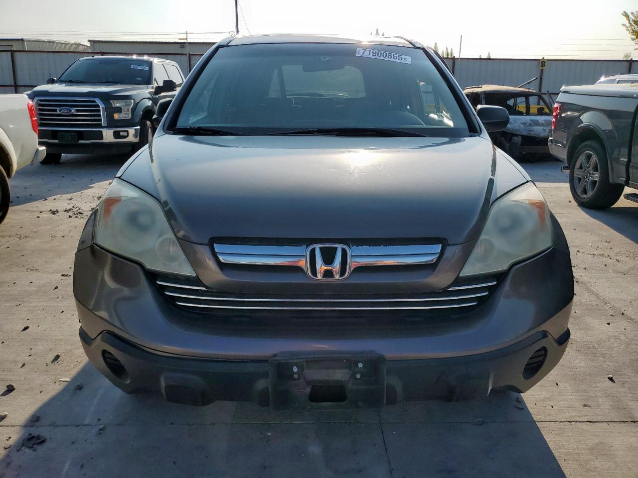 2009 Honda Cr-v Ex Gray vin: 5J6RE38569L014629