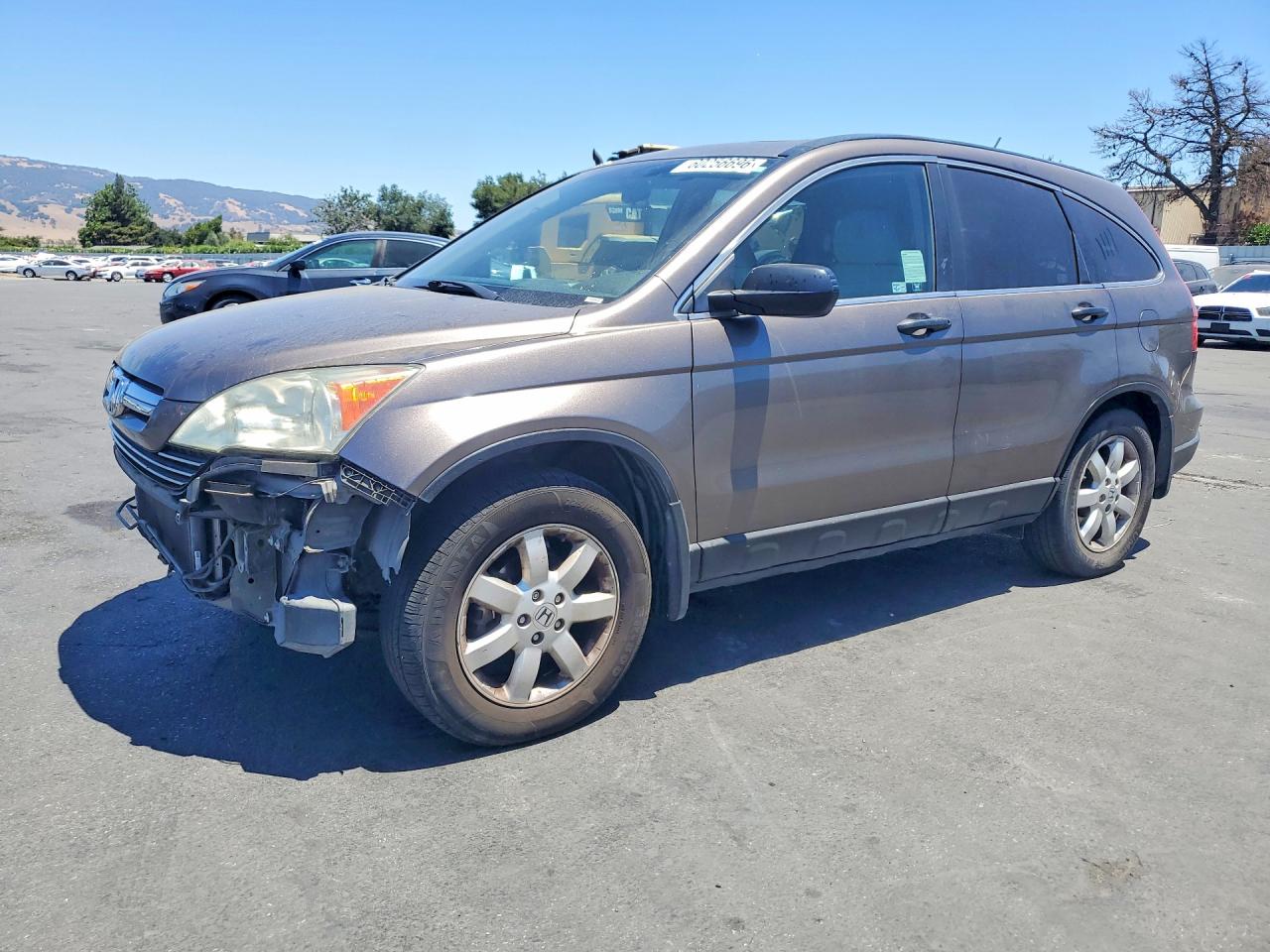 2009 Honda Cr-v Ex Brown vin: 5J6RE38579L014638