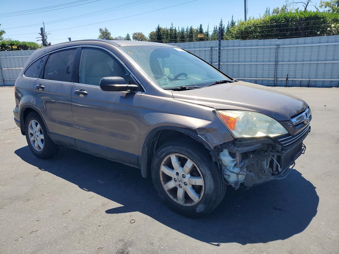 2009 Honda Cr-v Ex Brown vin: 5J6RE38579L014638