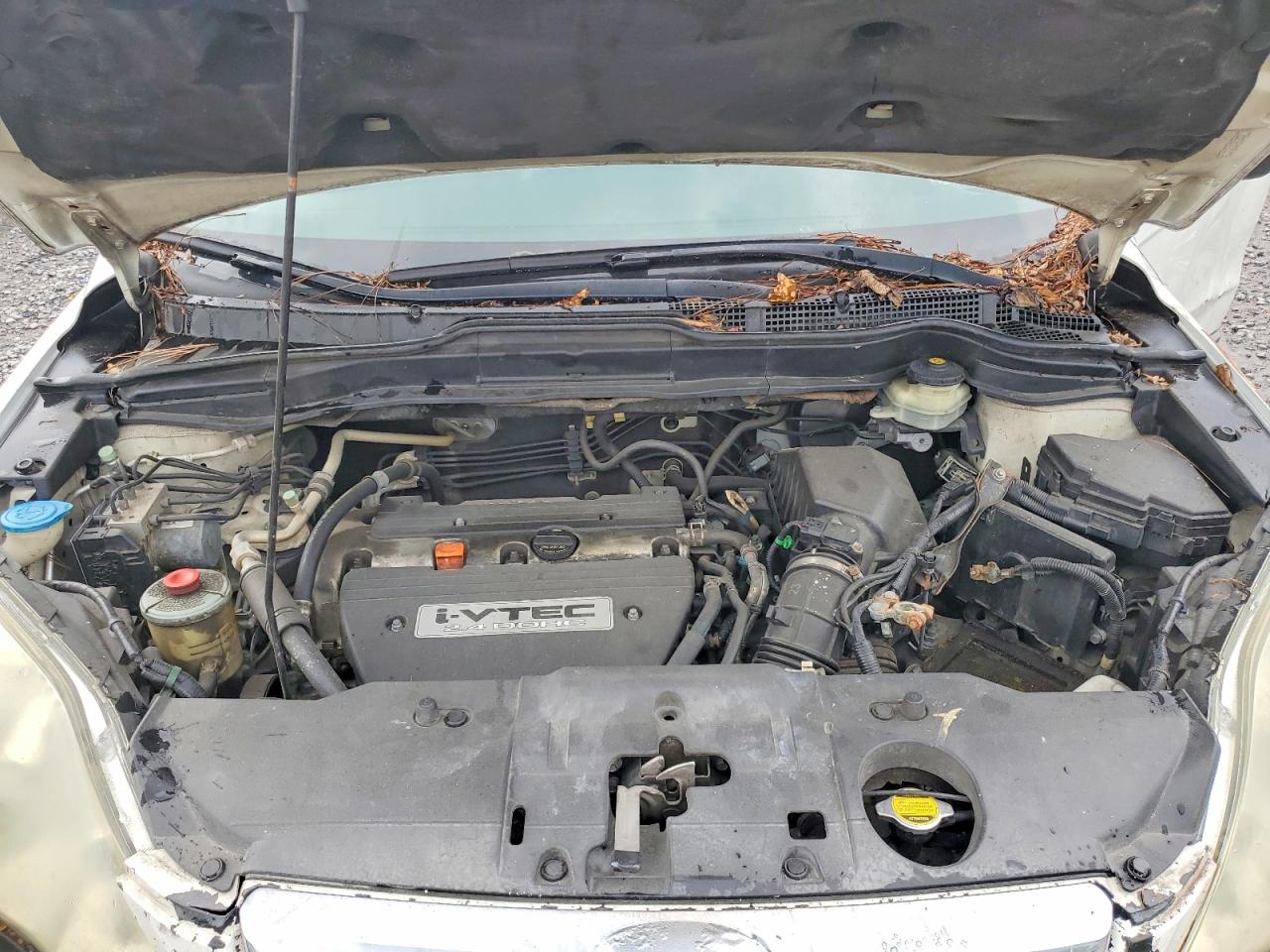 2008 Honda Cr-v Ex Белый vin: 5J6RE38588L005557