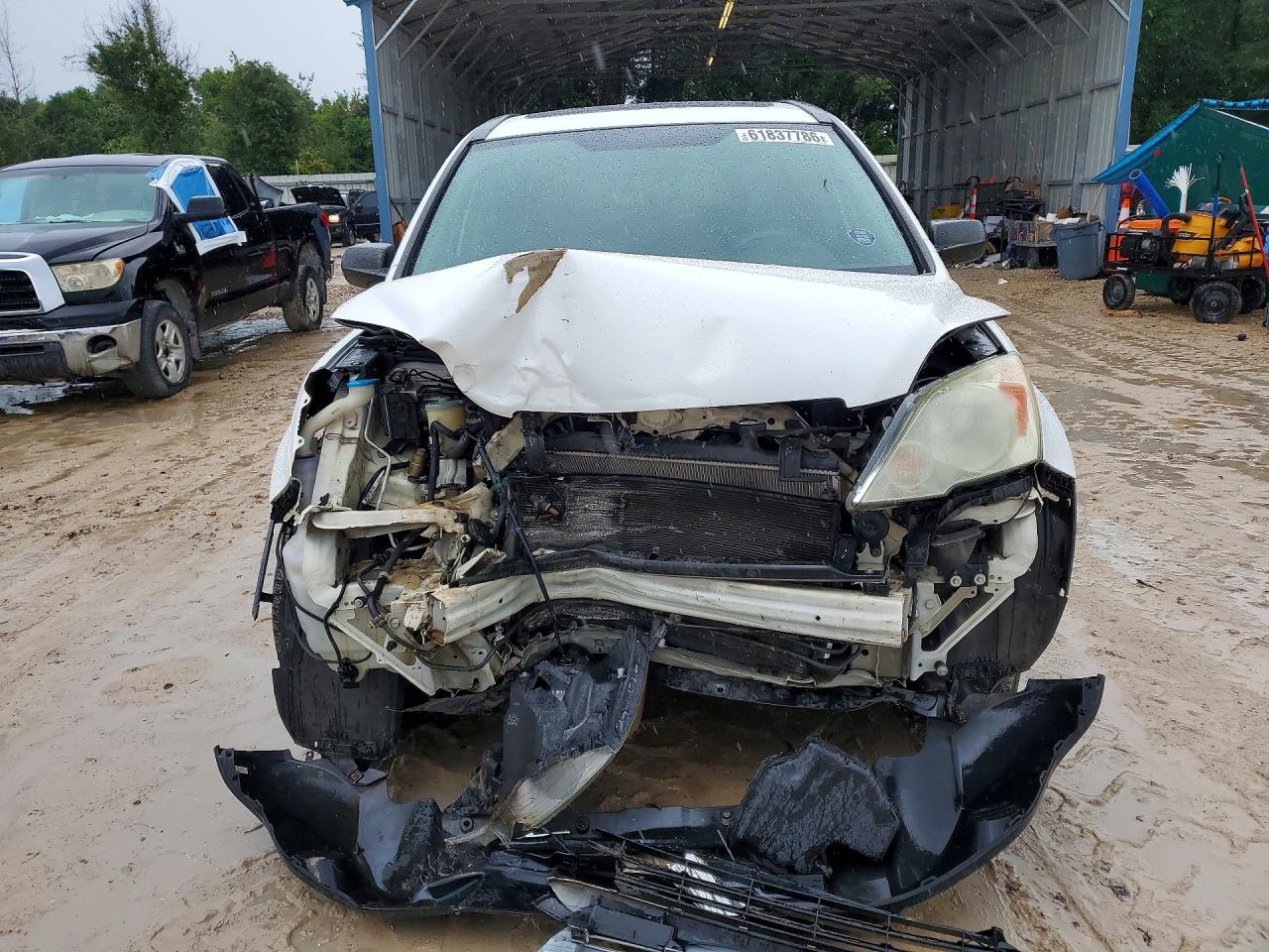 2009 Honda Cr-v Ex White vin: 5J6RE38599L032185