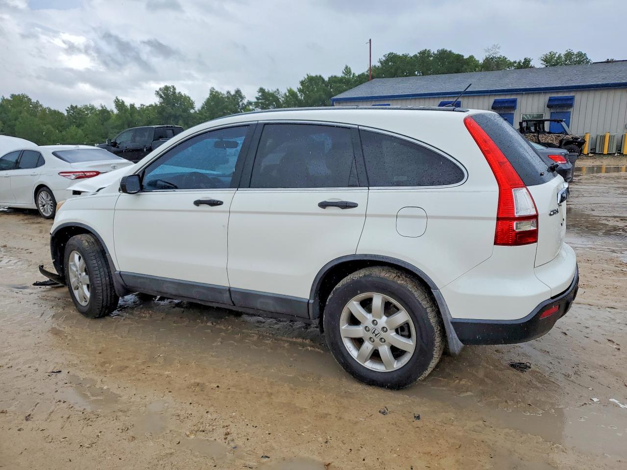 2009 Honda Cr-v Ex White vin: 5J6RE38599L032185