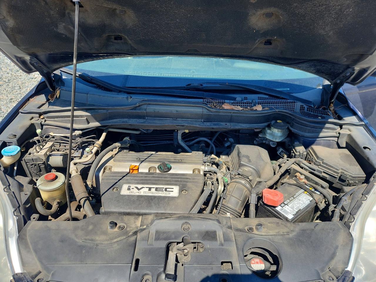 2009 Honda Cr-v Exl Blue vin: 5J6RE38709L019469