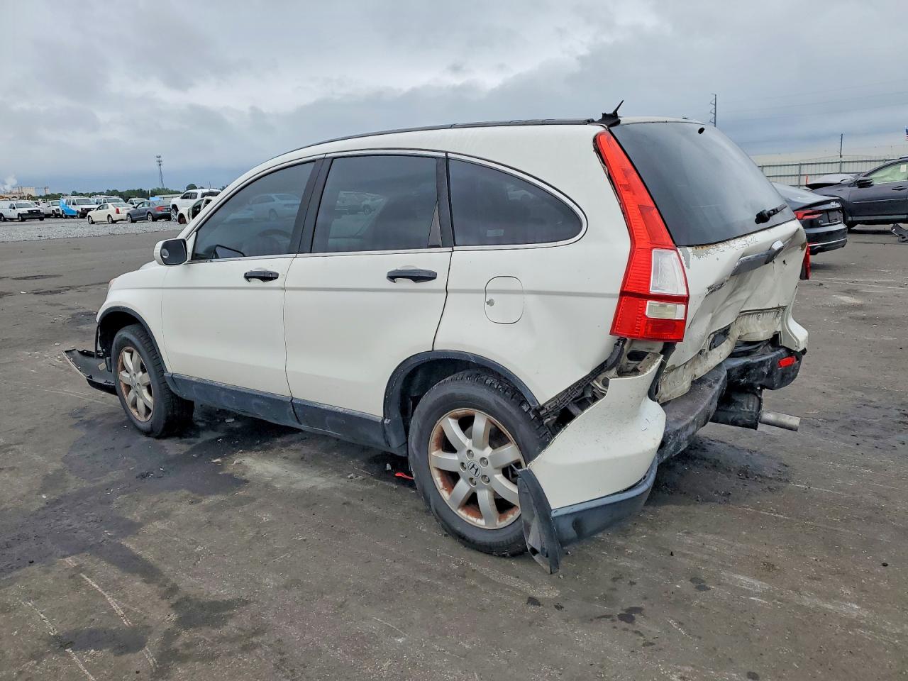 2009 Honda Cr-v Exl White vin: 5J6RE38729L003015