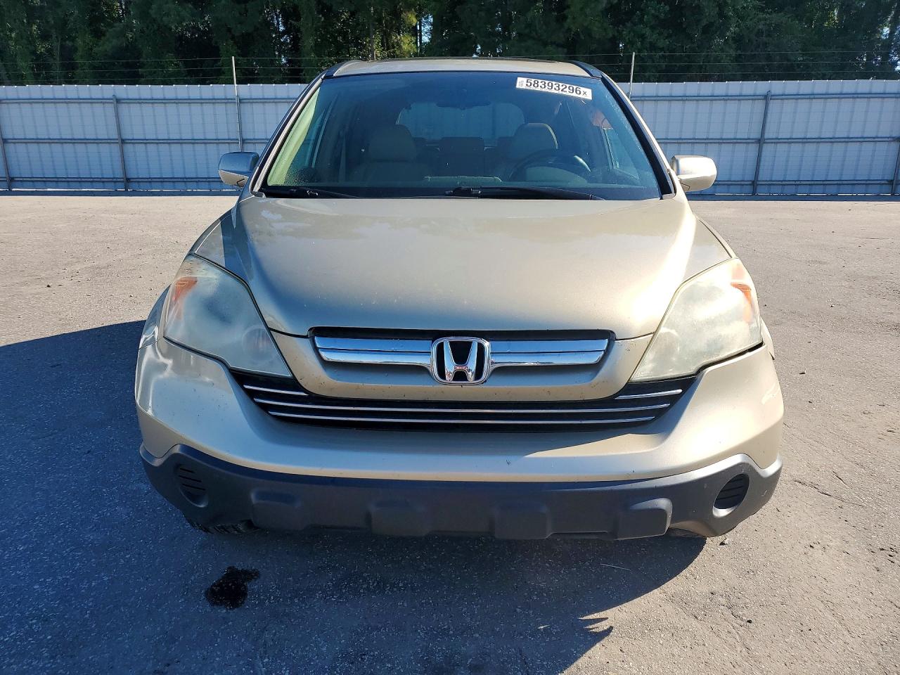 2009 Honda Cr-v Exl Gold vin: 5J6RE38729L004066