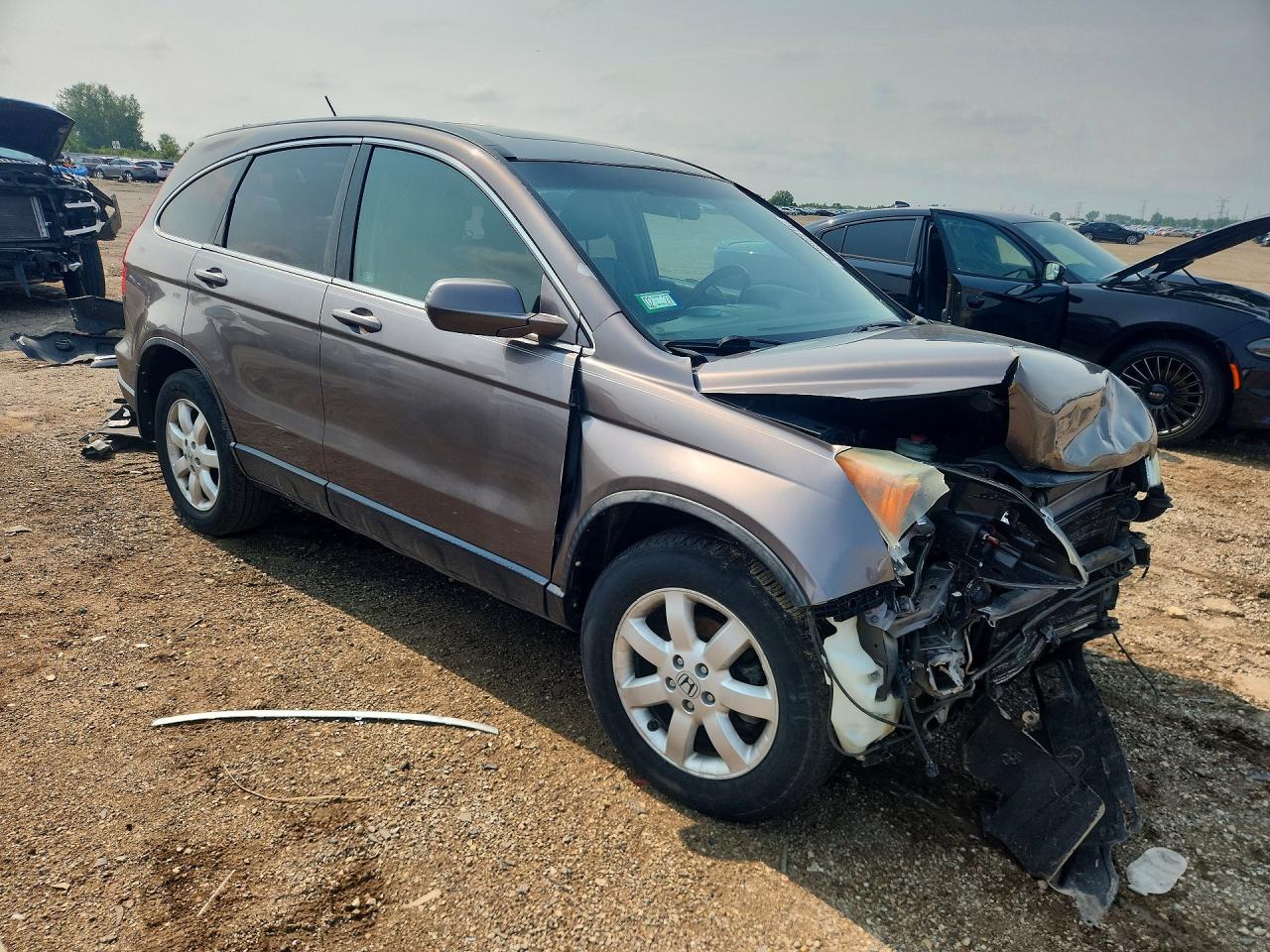 2009 Honda Cr-v Exl Brown vin: 5J6RE38739L011351