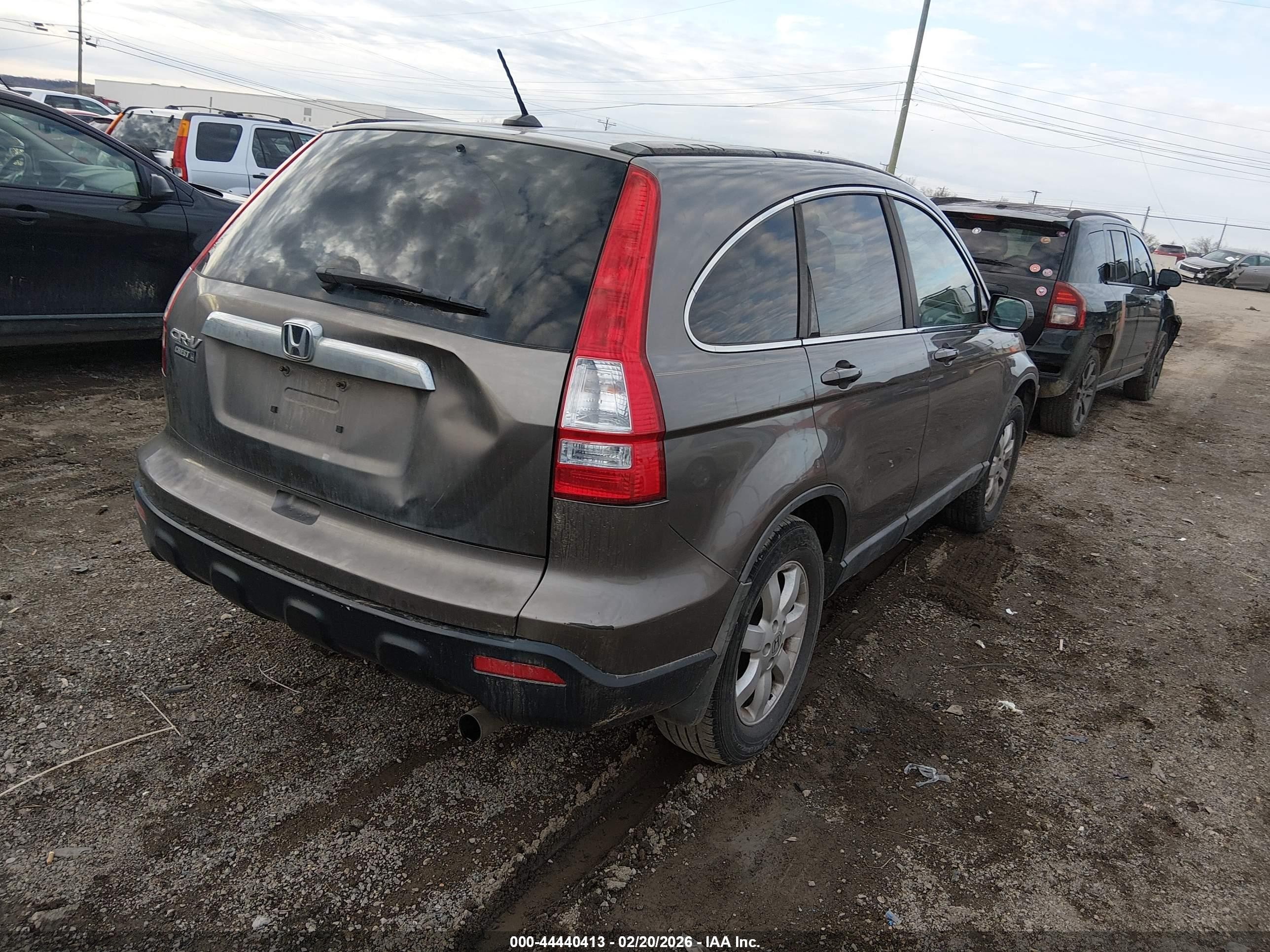 2009 Honda Cr-v Ex-l Gray vin: 5J6RE38759L028037