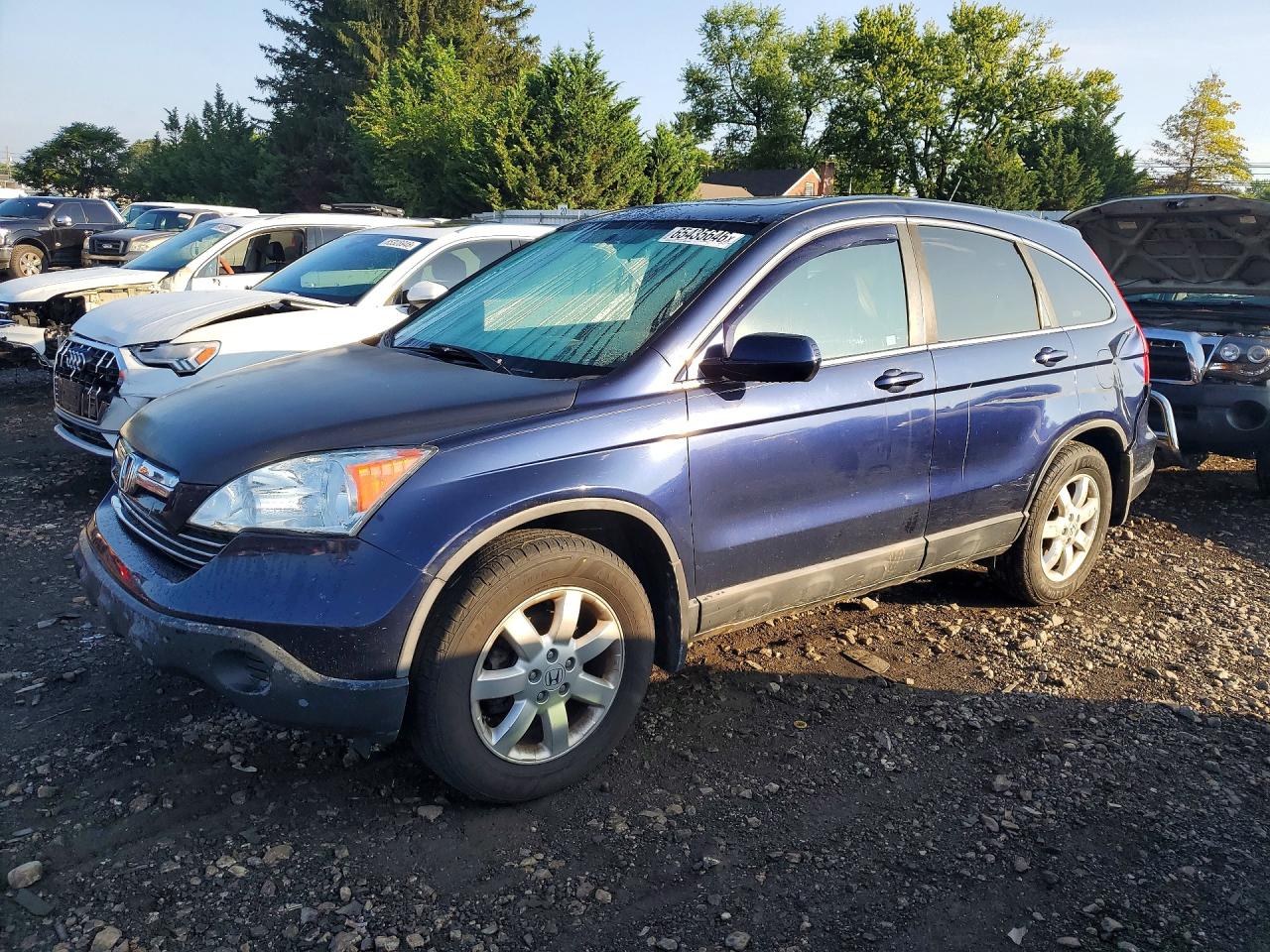 2008 Honda Cr-v Exl Blue vin: 5J6RE38768L001086