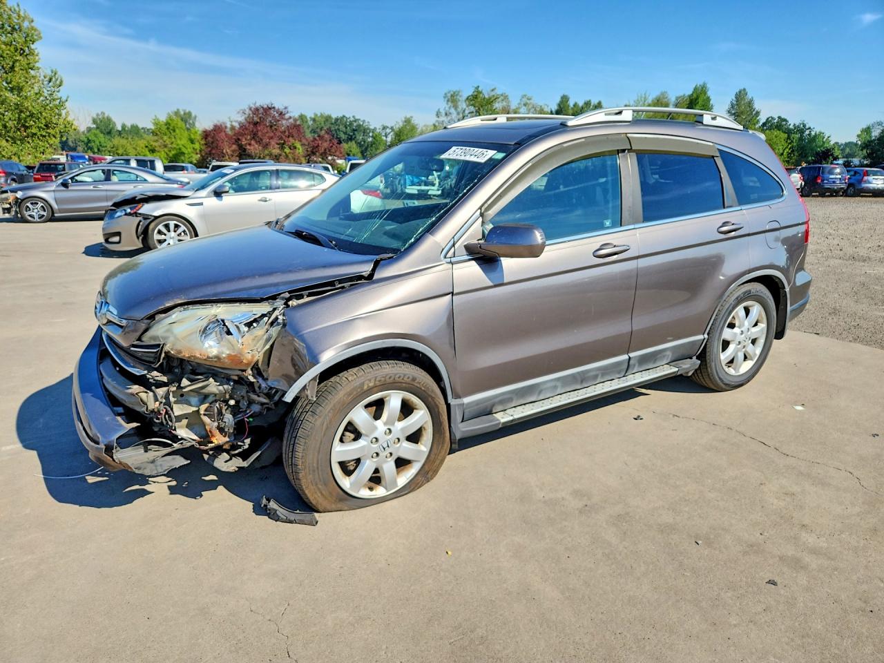 2009 Honda Cr-v Exl Gray vin: 5J6RE38789L008705