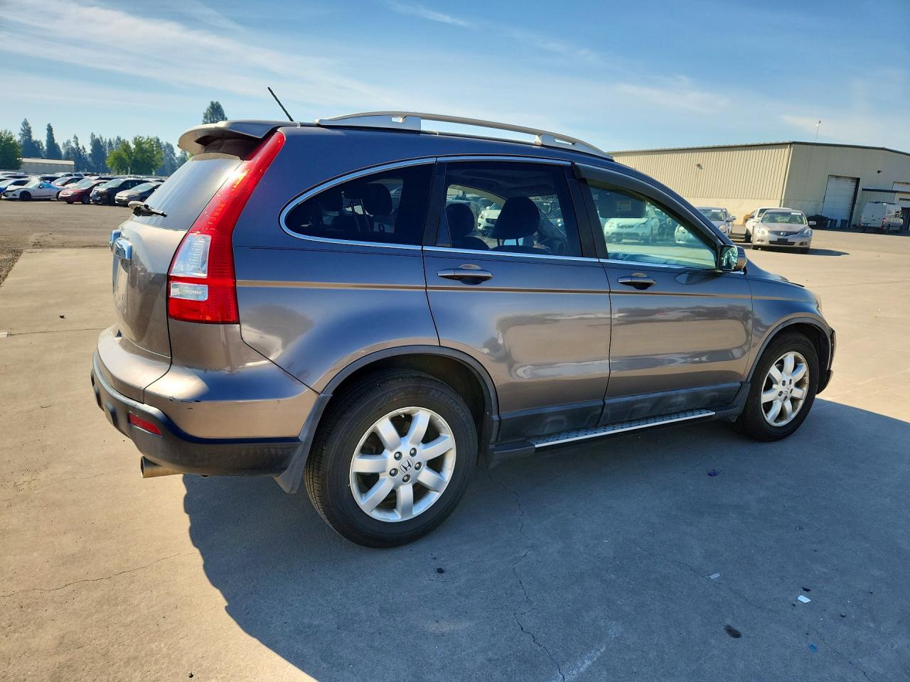 2009 Honda Cr-v Exl Gray vin: 5J6RE38789L008705