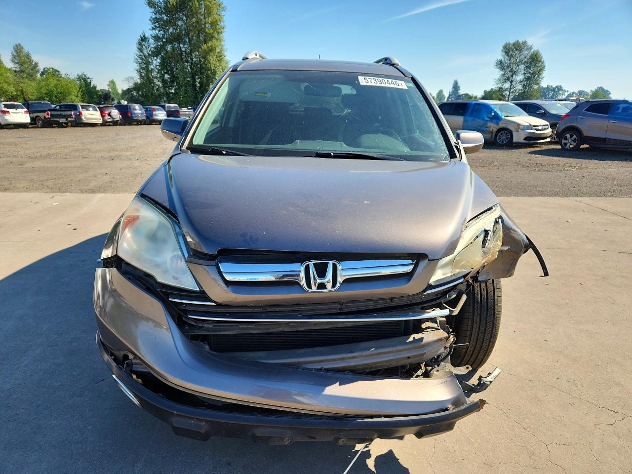 2009 Honda Cr-v Exl Gray vin: 5J6RE38789L008705