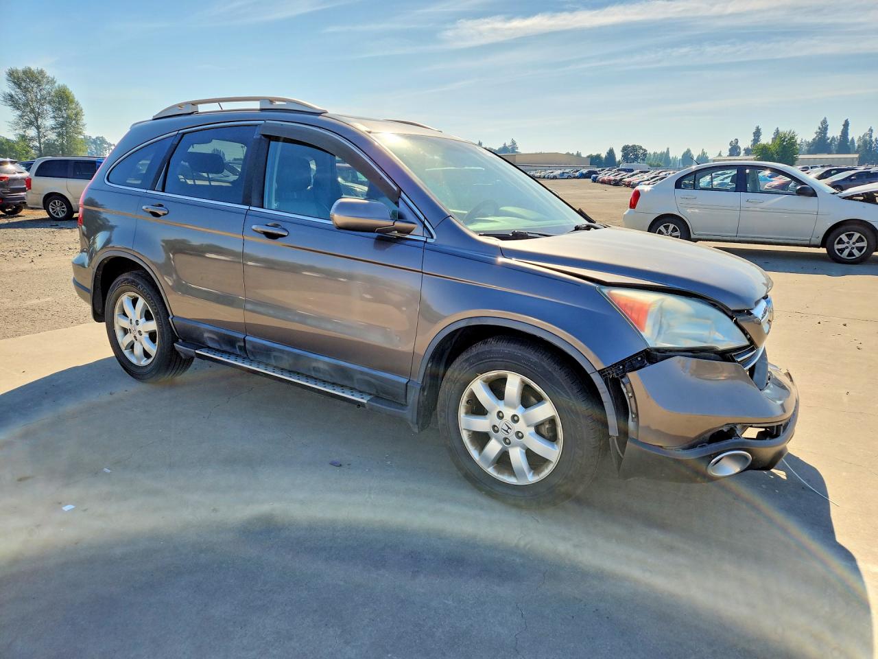 2009 Honda Cr-v Exl Gray vin: 5J6RE38789L008705